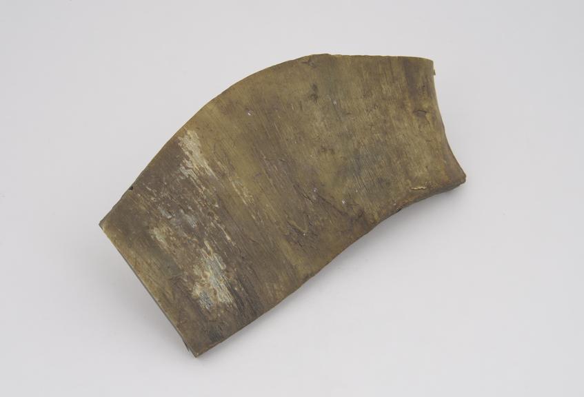 1 Piece of horn, 5 3/4 x 3' x 1/4''