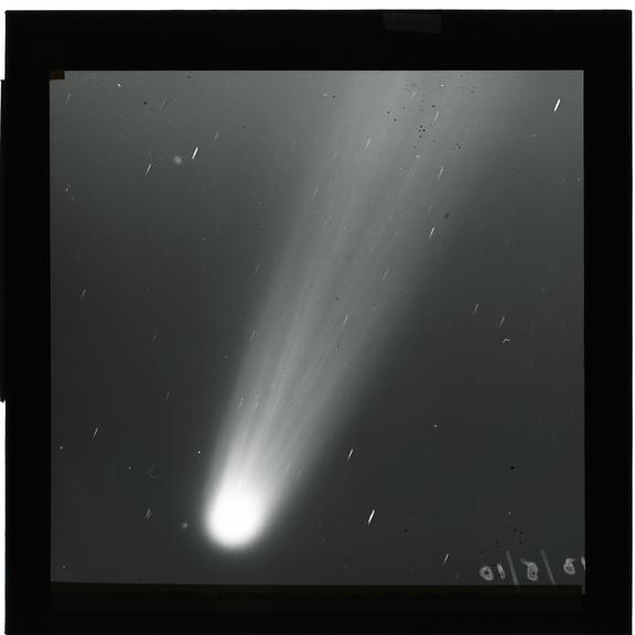 Halley's Comet