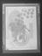 Daily Herald glass negative number A4214 - Art deco