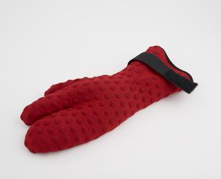 Mitten, one of two