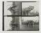 Photograph contact sheet titled 'Biggest elephant at the zoo'