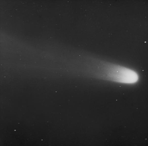 Halley's Comet; H Knox-Shaw