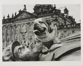 Spy with a Cold Nose