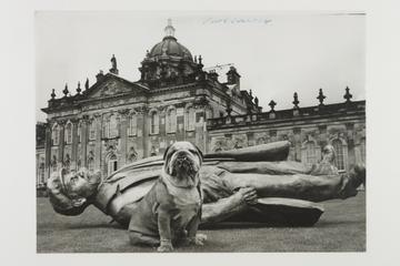 Spy with a Cold Nose