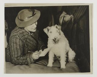 £900-a-week dog star arrives. Original caption reads: 'Asta'