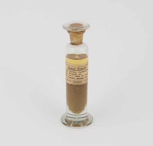 Specimen jar containing marine plankton made by Sir Jack Cecil Drummond, c.1920