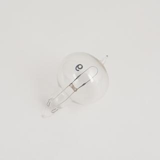 One of two lamp-bulbs