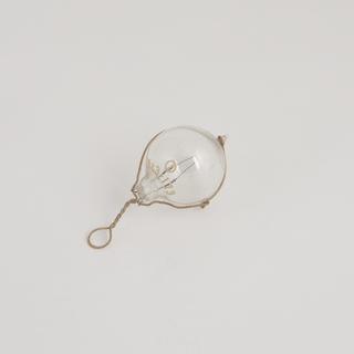 Incandescent lamp, carbon filament lamp