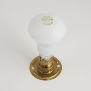 Filtilate' G.L.S. lamp in the popular mushroom-shaped bulb and with a whiter finish than the ordinary pearl lamps