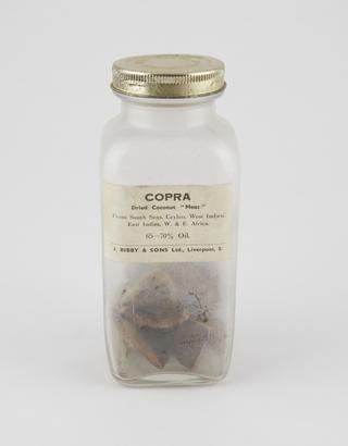 Specimen bottle containing copra (dried coconut)
