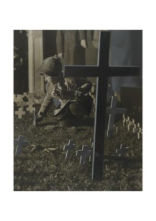 Armistice Day Field of Remembrance