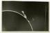 A collection of photographic prints of solar prominences