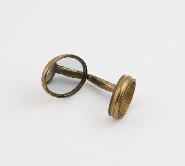 Oval pivoted mirror with attached hook arm and threaded ring