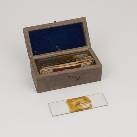 Microscope slides owned by Timothy Lewis