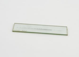 Glass Schumann type plate for negative, used with Quartz spectrograph (E.31)