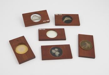 Six large slides for polariscope