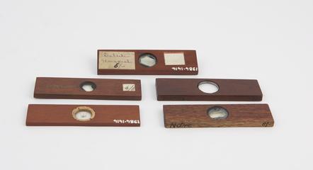 Five slides for polariscope