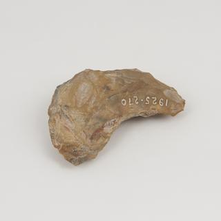 Fragment from Sandstond Block, c.3000