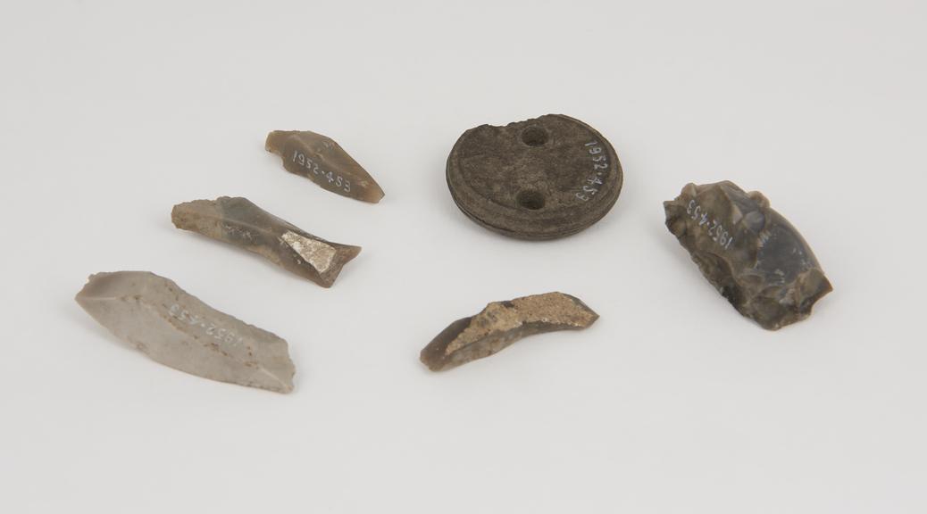 Five flint tools for turning shale and one Kimmeridge penny' of