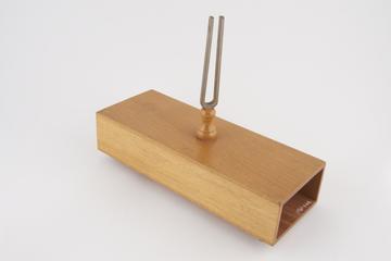 Mounted tuning fork