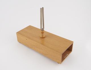 Mounted tuning fork