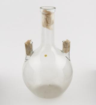 Glass flask, Woulfe type