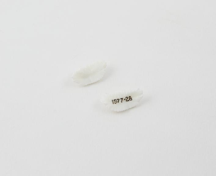 One pair of cod otoliths, scales (earstones)