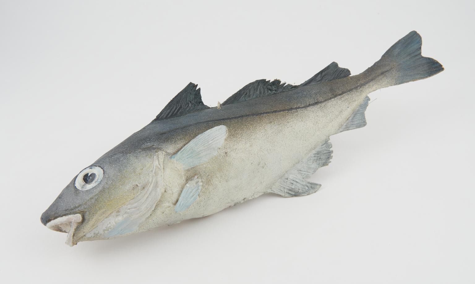 Fish Model with Plastic Tag, 1975-1977 | Science Museum Group Collection