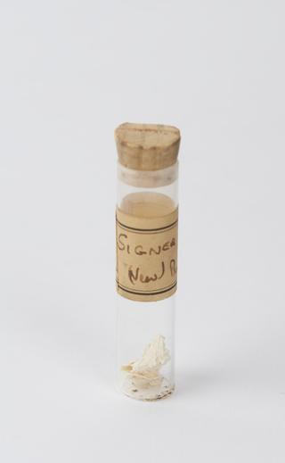 Samples of DNA labelled "SIGNER DNA (New) Prep VII Schwand"