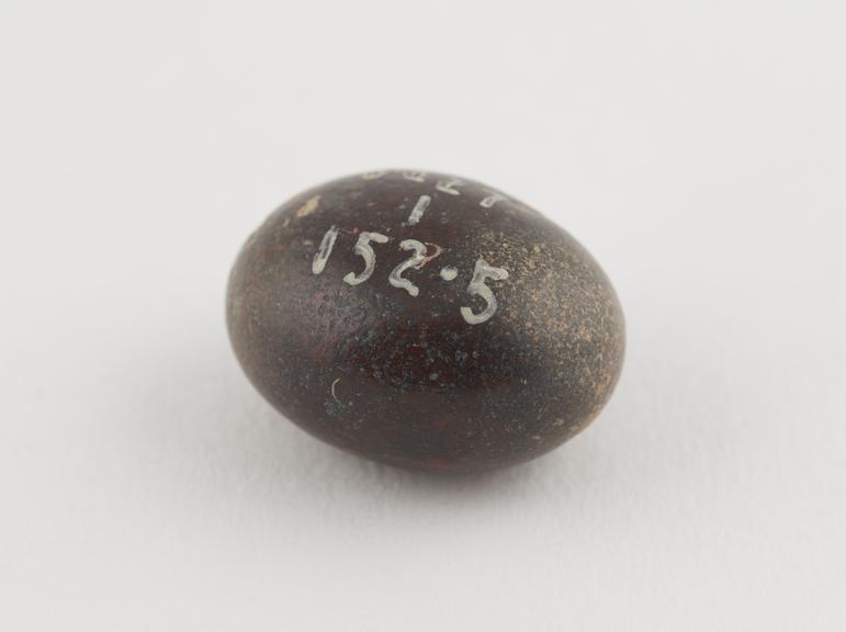 One brown basalt pebble (flat base) Syrian weights from Gaza