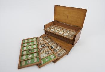 Box, containing 72 botanical specimen microscope slides