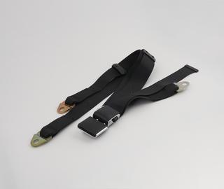 Seat belt section with anchorage device