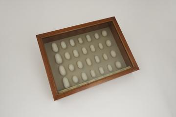 Specimens relating to the production of silk
