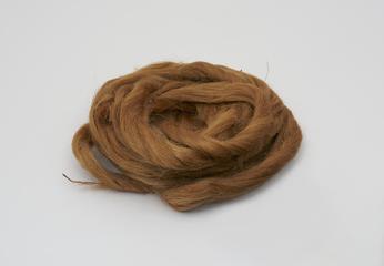Jute sliver before spinning