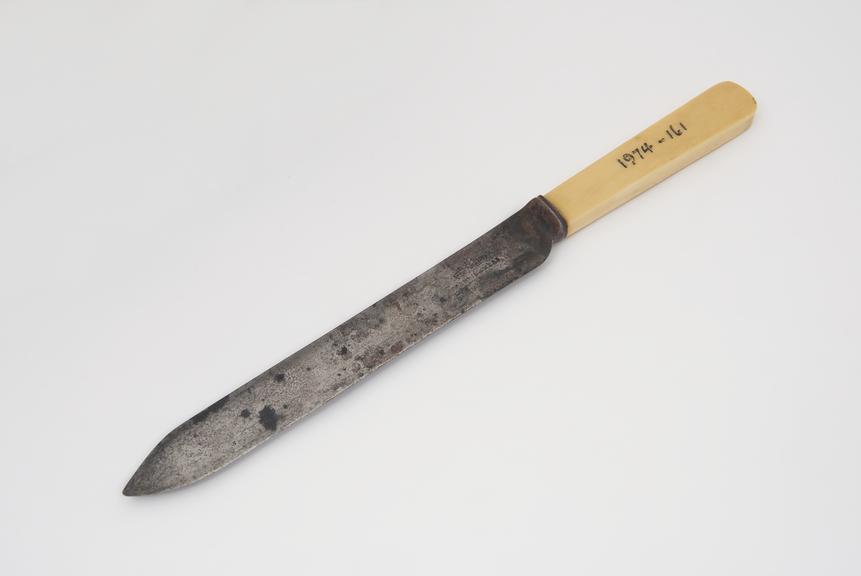 Kitchen knife with steel blade and bone handle