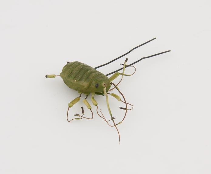 Wax model of greenfly