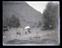 Glass plates and film negatives of landscape views and