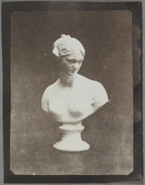 Calotype salt print entitled 'Bust of Venus'