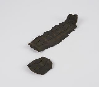 Tyre fragments from 1904 Triumph motorcycle