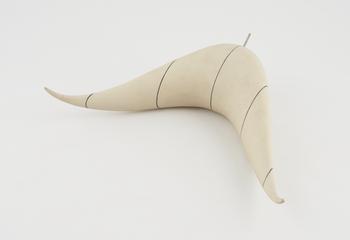 Mathematical model of a surface with two apices