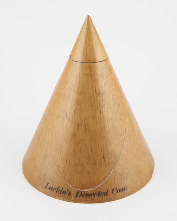 Dissected Cone, 8-inch base. In pine wood