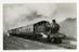 Sellick Photograph Collection
