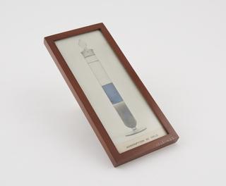 agar gel 1% in a solution of manganese(II) sulphate and potassium sulfide