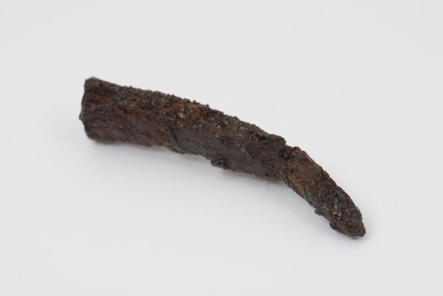 Iron nail fragment found at Punic Carthage, 700-146 BC