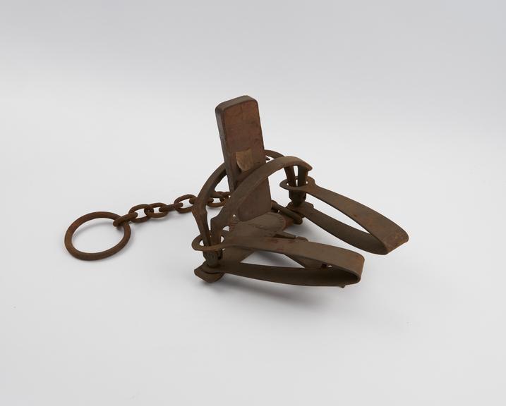 Small bear trap with offset jaws (No. 150)