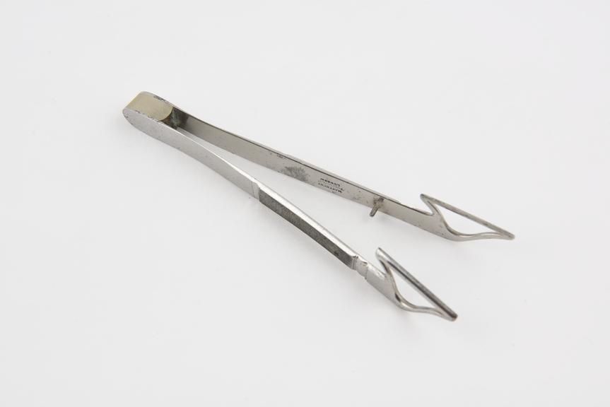 Trachoma forceps, steel, plated, by Matthews of Portugal Street