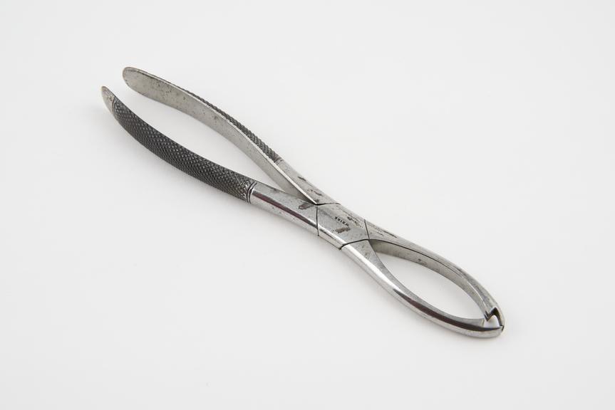 Forceps, lion, Fergusson by Weiss, London, c