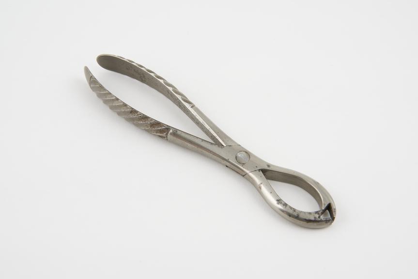 Forceps, lion, Fergusson by Mayer and Meltzer, London, c