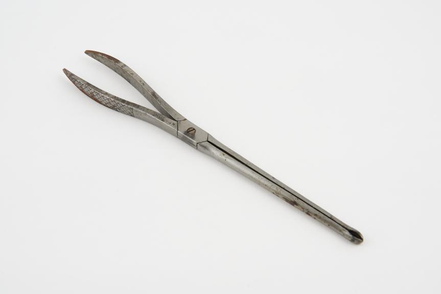 Bullet forceps, steel, Benton, British, first half 19th century