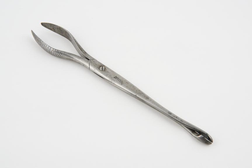 Bullet forceps by Coxeter of London, 1836 to c. 1870, steel